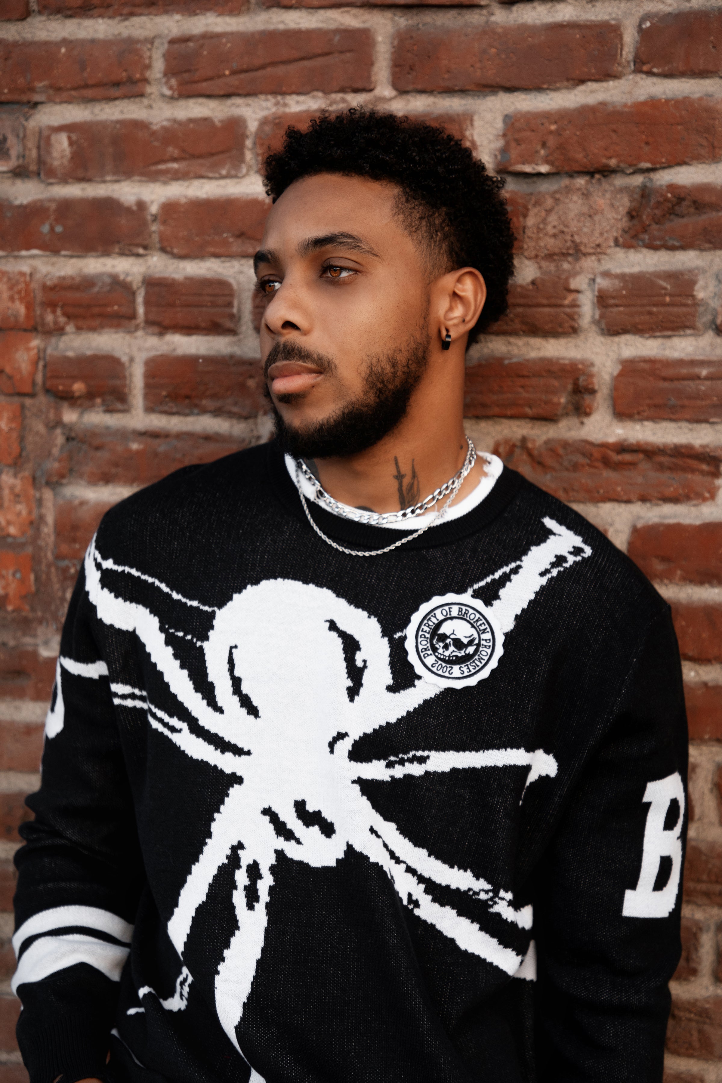 Arachnid Sweater with Patch