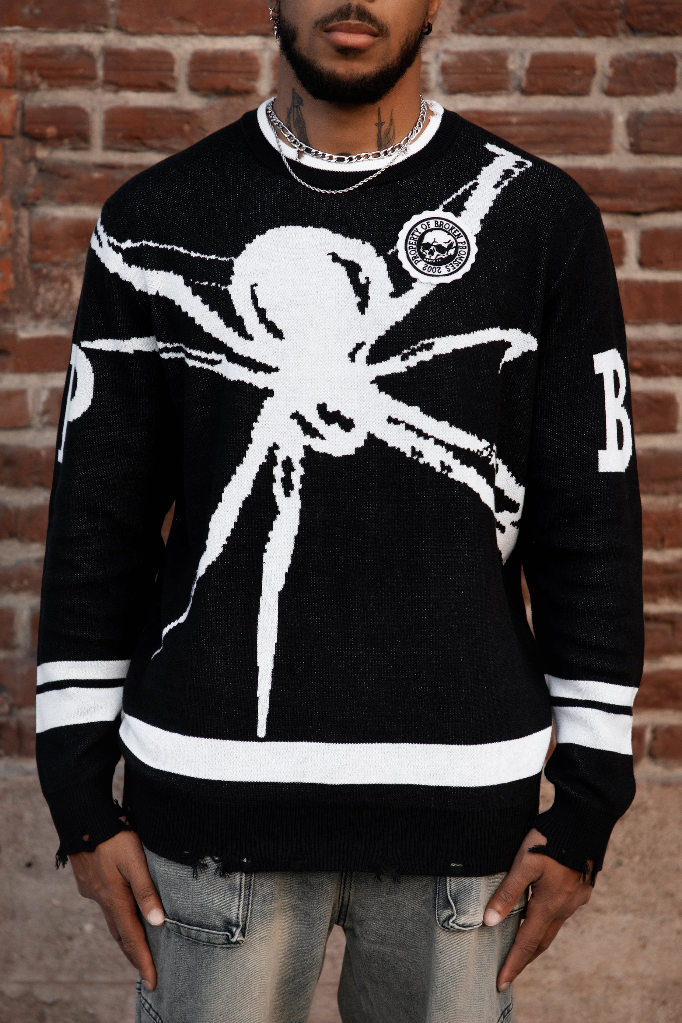 Arachnid Sweater with Patch