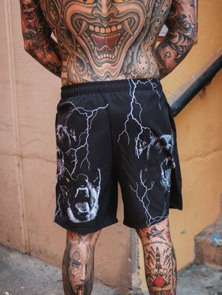 K-9 Shorts