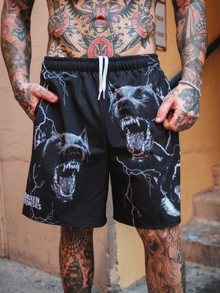 K-9 Shorts