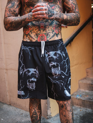 K-9 Shorts